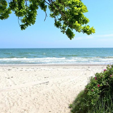 Strandnahe Fewo Mit Balkon, Gratis Nutzung Vom Ahoi Erlebnisbad Und Sauna In Sellin - Rex Rugia Fewo 13-7 Лобе Екстериор снимка